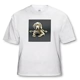 Weimaraner Puppy - White Infant Lap-Shoulder Tee (12M)