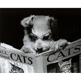 All About Cats Dog Reading Book Art Print Poster - 16x20 College Mini Poster Print, 20x16
