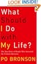 What Should I Do with My Life?