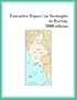 Executive Report on Strategies in Burma, 2000 edition (Strategic Planning Series)
