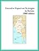 Book Executive Report on Strategies in Burma, 2000 edition (Strategic Planning Series)
