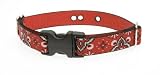 Lupine 1-Inch Width 16-Inch to 24-Inch Containment Collar Strap, Wild West