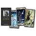 Tarot of the Elves (English and Spanish Edition)