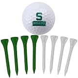 Michigan State Spartans Golf Ball & Tee Set