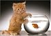 Ravensburger 15800 - Appetith&auml;ppchen - 1.000 Teile Puzzle
