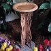 Dragonfly Birdbath and Pedestal