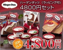 ハーゲンダッツ4,800円セット（ラッピング付き）ver.2