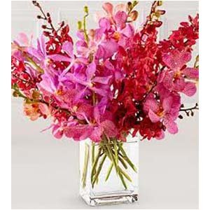 Pink Orchids | No Of Orchids Bouquet of 12 Flowers