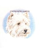 West Highland Terrier - Portrait by Cindy Farmer