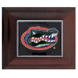 Florida Gators Collector's Box