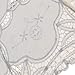 STARSIDE White Beige Parasol Wedding Lace Umbrella