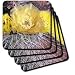 Teddy-Bear Cholla Cactus flowers.(Opuntia bigelovii).Anza-Borrago State Park, California - Set Of 4 Ceramic Tile Coasters