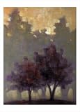 Two and Tranquility by Connie Geerts poster print,19.8 in. x 27.5 in.