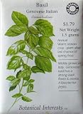 Genovese Basil Seeds Certified Organic
