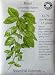Basil Seeds Genovese Italian Certified Organic