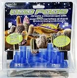 Odd Pods Cacti Kit