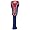 Arizona Wildcats