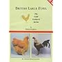 British Large Fowl (Gold Cockerel)
