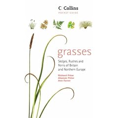 Collins Pocket Guide - Grasses, Sedges, Rushes and Ferns of Britain and Northern Europe