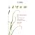 Grasses, Sedges, Rushes and Ferns of Britain and Northern Europe (Collins Pocket Guide)
