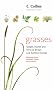 Collins Pocket Guide - Grasses, Sedges, Rushes and Ferns of Britain and Northern Europe