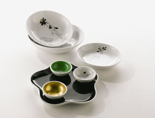 Arzberg Porzellan House Collection Flora Negra Design-Schale 18cm im Geschenkkarton
