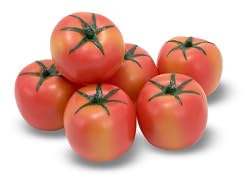 Melissa & Doug 2844, Tomato (Bundle of 6) Bulk Fruits & Veggies