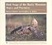 Bird Songs of the Rocky Mountain States and Provinces