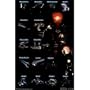 Halo 3 (Chart, Covanant) Art Poster Print - 22" X 34"