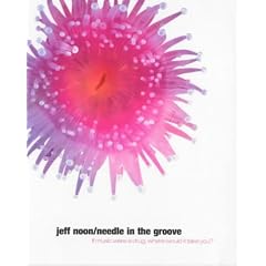 Needle in the Groove