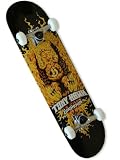 Tony Hawk Birdhouse Phoenix Complete Skateboard #45