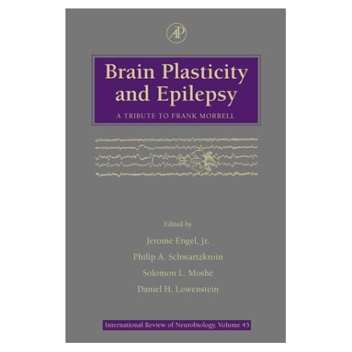 Brain Plasticity and Epilepsy by Jerome Engel