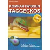 Eigenschaften Hobby  / Kompaktwissen Taggeckos von Oliver Drewes