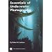 Essentials of Underwater Photography