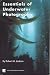Essentials of Underwater Photography