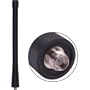 Laird Techologies 150-162 Portable Antenna, 6"