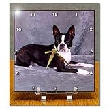 Boston Terrier - 6x6 Desk Clock