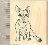 French Bulldog Rubber Stamp - Wood Mounted