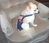 Joybies Durable Denim Piddle Pants(tm) for Small Male Dog (Measuring 13