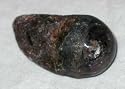 Rough Star Ruby Point