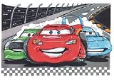 Review The Moneyman  / CARS NASCAR KOOLART image CERAMIC MUG 2010