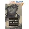 Domesticating the World: African Consumerism and the Genealogies of Globalization (California World History Library)