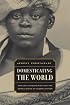 Domesticating the World: African Consumerism and the Genealogies of Globalization (California World History Library)