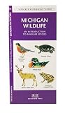 Michigan Wildlife: An Introduction to Familiar Species (State Nature Guides)