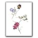 Sweetpea, Pansy and Cupid's Dart, German School, circa 1790 - Gift Enclosure Cards (set of 12)