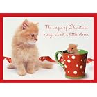 Kitten and Hamster Boxed Holiday Cards by  Sellers Publishing