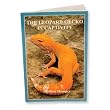 TREX LEOPARD GECKOS IN CAPTIVITY