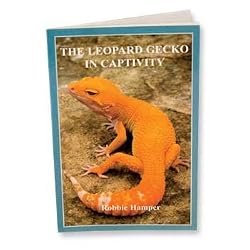 TREX LEOPARD GECKOS IN CAPTIVITY