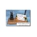 Bouvier des Flandres (Black) Desk Set