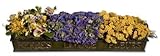 IMAGE OF HERBES & FLEURS IN FRENCH SORTING BIN